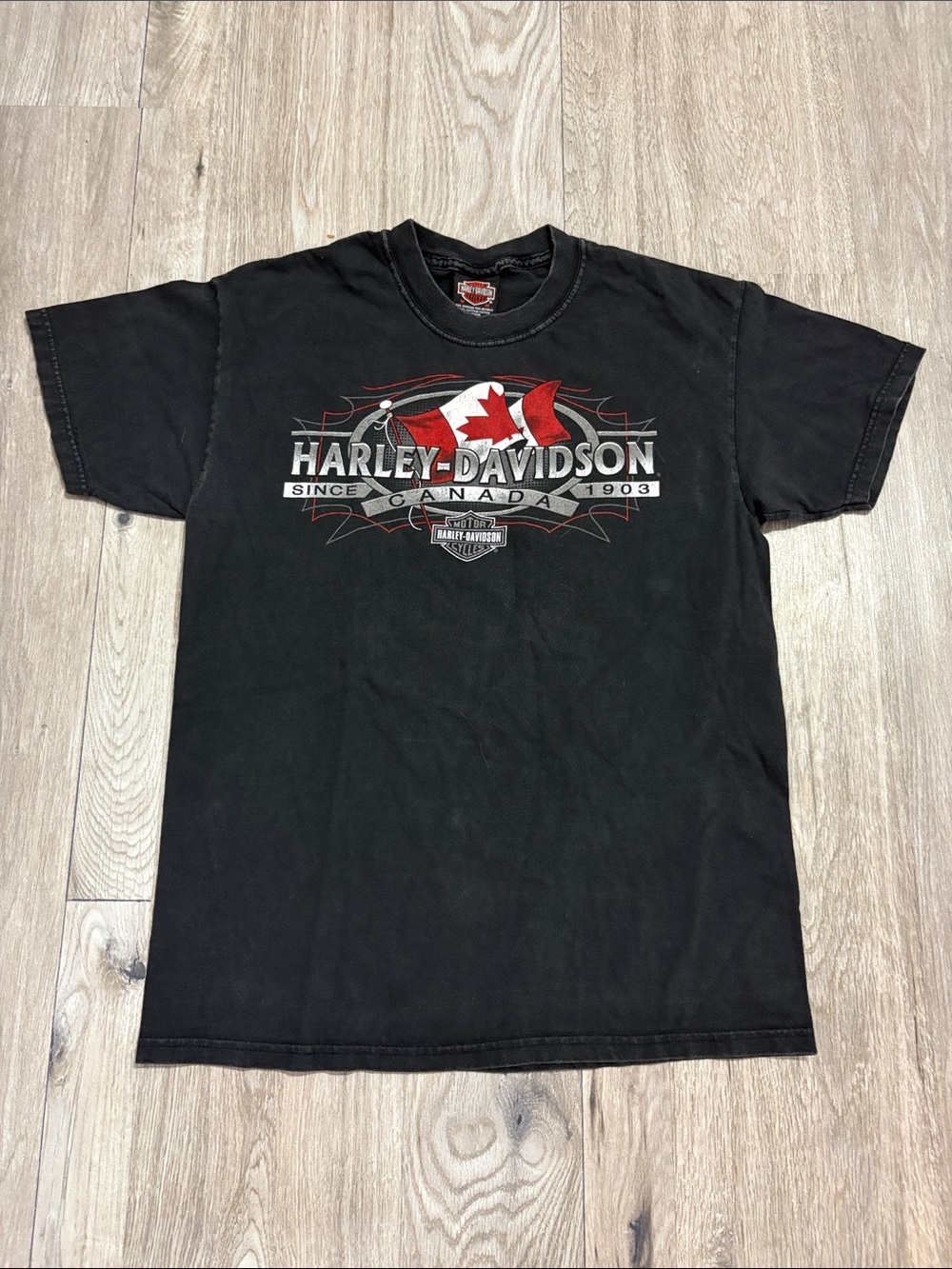 Vintage Harley-Davidson Graphic Whitehorse Yukon Canada Eagle Tee - Picture 2 of 3